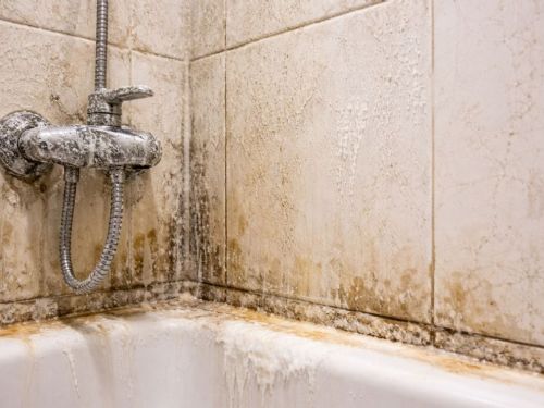 無法忍受浴室水垢與異味？從源頭改善的實用指南